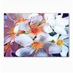 Daisy Painting  Postcards 5  x 7  (Pkg of 10) Front