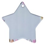 Valentine Day Heart Pattern Capsule Star Ornament (Two Sides) Front