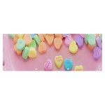 Valentine Day Heart Capsule Banner and Sign 8  x 3  Front