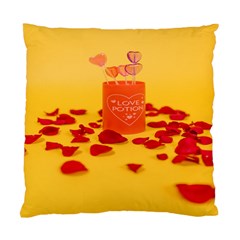 Valentine Day Heart Love Potion Standard Cushion Case (one Side) by artworkshop