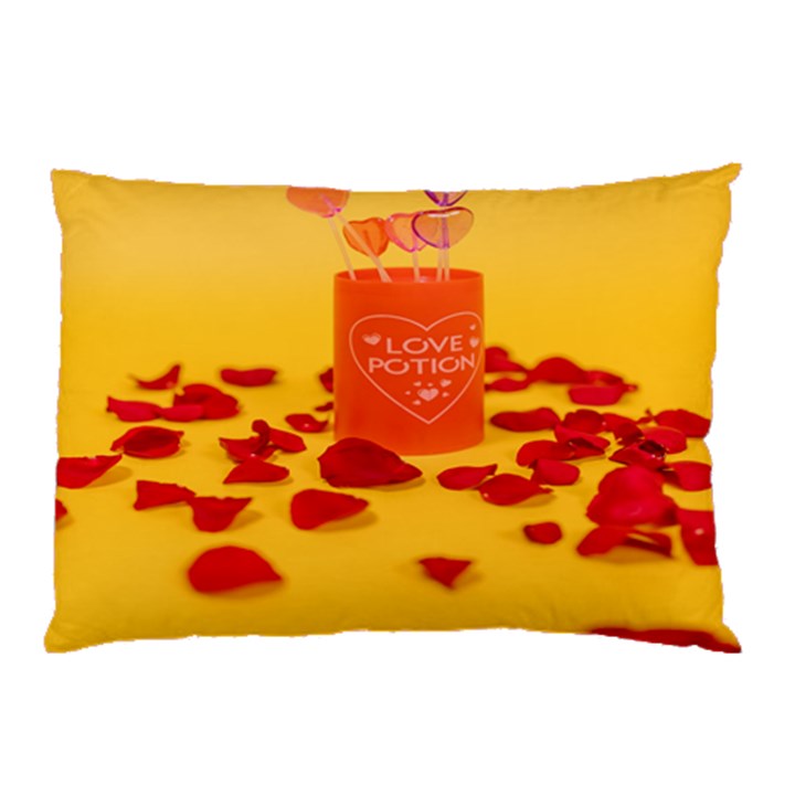 Valentine Day Heart Love Potion Pillow Case