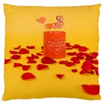 Valentine Day Heart Love Potion Large Cushion Case (One Side) Front