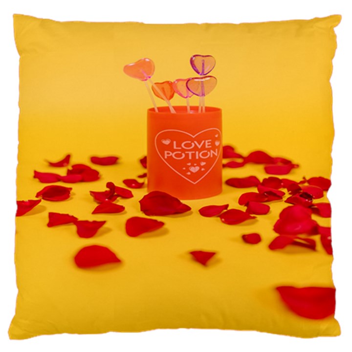 Valentine Day Heart Love Potion Large Cushion Case (One Side)