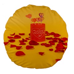 Valentine Day Heart Love Potion Large 18  Premium Round Cushions by artworkshop