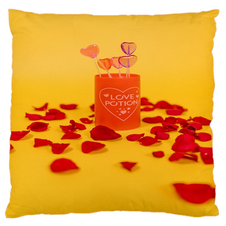 Valentine Day Heart Love Potion Standard Premium Plush Fleece Cushion Case (One Side)