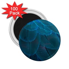 Beautiful Plumage 2 25  Magnets (100 Pack) 