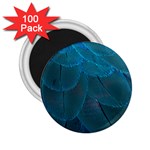 Beautiful Plumage 2.25  Magnets (100 pack)  Front