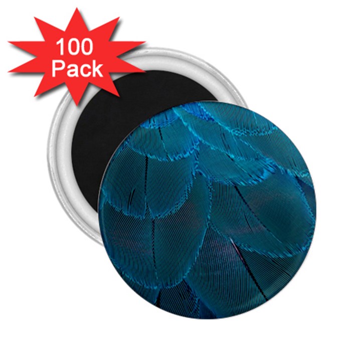 Beautiful Plumage 2.25  Magnets (100 pack) 