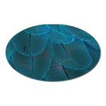 Beautiful Plumage Oval Magnet Front