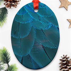 Beautiful Plumage Ornament (oval) by artworkshop