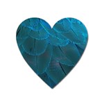 Beautiful Plumage Heart Magnet Front