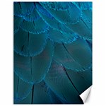 Beautiful Plumage Canvas 18  x 24  17.8 x23.08  Canvas - 1