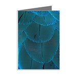 Beautiful Plumage Mini Greeting Cards (Pkg of 8) Right