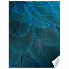 Beautiful Plumage Canvas 18  X 24  by artworkshop