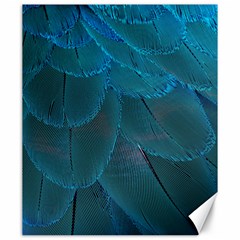 Beautiful Plumage Canvas 20  X 24  by artworkshop