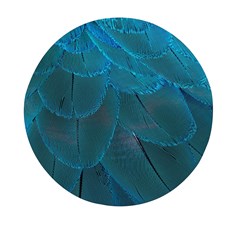 Beautiful Plumage Mini Round Pill Box (pack Of 3) by artworkshop