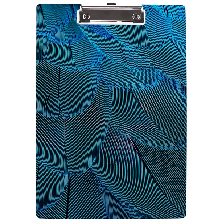 Beautiful Plumage A4 Acrylic Clipboard