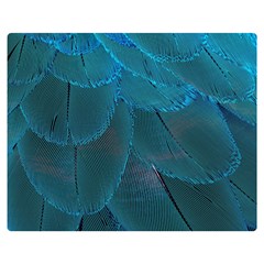 Beautiful Plumage One Side Premium Plush Fleece Blanket (medium) by artworkshop