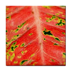 Aglonema Leaf Plant Pattern Flora Tile Coaster by danenraven