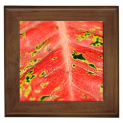 Aglonema Leaf Plant Pattern Flora Framed Tile by danenraven