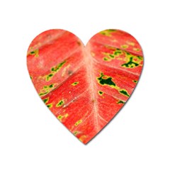 Aglonema Leaf Plant Pattern Flora Heart Magnet by danenraven