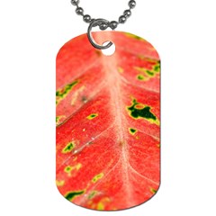 Aglonema Leaf Plant Pattern Flora Dog Tag (two Sides) by danenraven