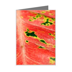 Aglonema Leaf Plant Pattern Flora Mini Greeting Card by danenraven