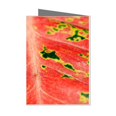 Aglonema Leaf Plant Pattern Flora Mini Greeting Cards (pkg Of 8) by danenraven