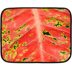 Aglonema Leaf Plant Pattern Flora One Side Fleece Blanket (mini) by danenraven