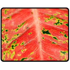 Aglonema Leaf Plant Pattern Flora One Side Fleece Blanket (medium) by danenraven