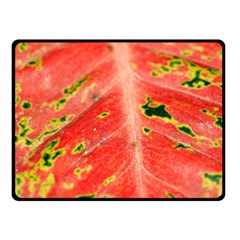 Aglonema Leaf Plant Pattern Flora One Side Fleece Blanket (small) by danenraven