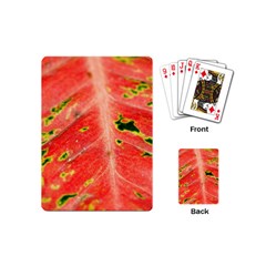 Aglonema Leaf Plant Pattern Flora Playing Cards Single Design (mini) by danenraven