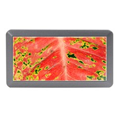 Aglonema Leaf Plant Pattern Flora Memory Card Reader (mini) by danenraven