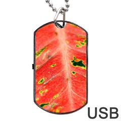 Aglonema Leaf Plant Pattern Flora Dog Tag Usb Flash (two Sides) by danenraven