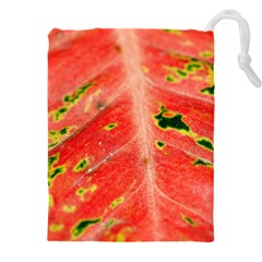 Aglonema Leaf Plant Pattern Flora Drawstring Pouch (5xl) by danenraven