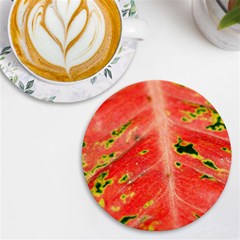 Aglonema Leaf Plant Pattern Flora Uv Print Round Tile Coaster by danenraven