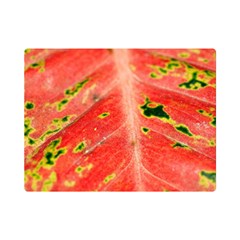 Aglonema Leaf Plant Pattern Flora One Side Premium Plush Fleece Blanket (mini) by danenraven