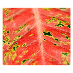 Aglonema Leaf Plant Pattern Flora One Side Premium Plush Fleece Blanket (small) by danenraven