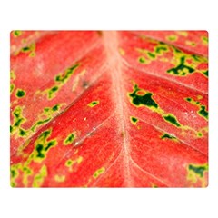 Aglonema Leaf Plant Pattern Flora One Side Premium Plush Fleece Blanket (large) by danenraven