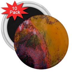 Pollock 3  Magnets (10 Pack)  by artworkshop