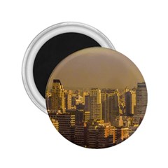 Buenos Aires City Aerial View002 2 25  Magnets by dflcprintsclothing