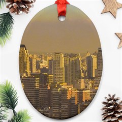 Buenos Aires City Aerial View002 Ornament (oval)