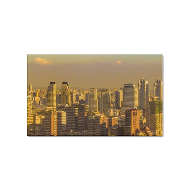 Buenos Aires City Aerial View002 Sticker Rectangular (10 pack)