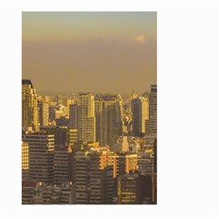 Buenos Aires City Aerial View002 Large Garden Flag (two Sides) by dflcprintsclothing