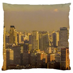 Buenos Aires City Aerial View002 Large Cushion Case (one Side) by dflcprintsclothing