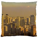 Buenos Aires City Aerial View002 Standard Premium Plush Fleece Cushion Case (Two Sides) Front