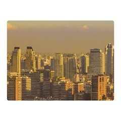 Buenos Aires City Aerial View002 Premium Plush Fleece Blanket (mini) by dflcprintsclothing