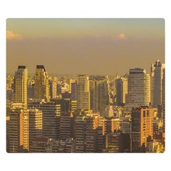 Buenos Aires City Aerial View002 Premium Plush Fleece Blanket (small) by dflcprintsclothing