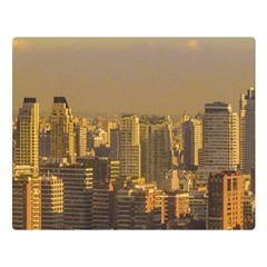 Buenos Aires City Aerial View002 One Side Premium Plush Fleece Blanket (large) by dflcprintsclothing