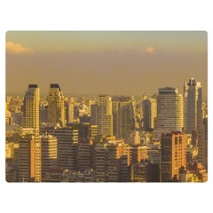 Buenos Aires City Aerial View002 One Side Premium Plush Fleece Blanket (extra Small) by dflcprintsclothing